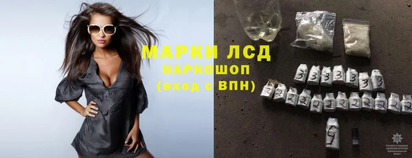 СК Аркадак